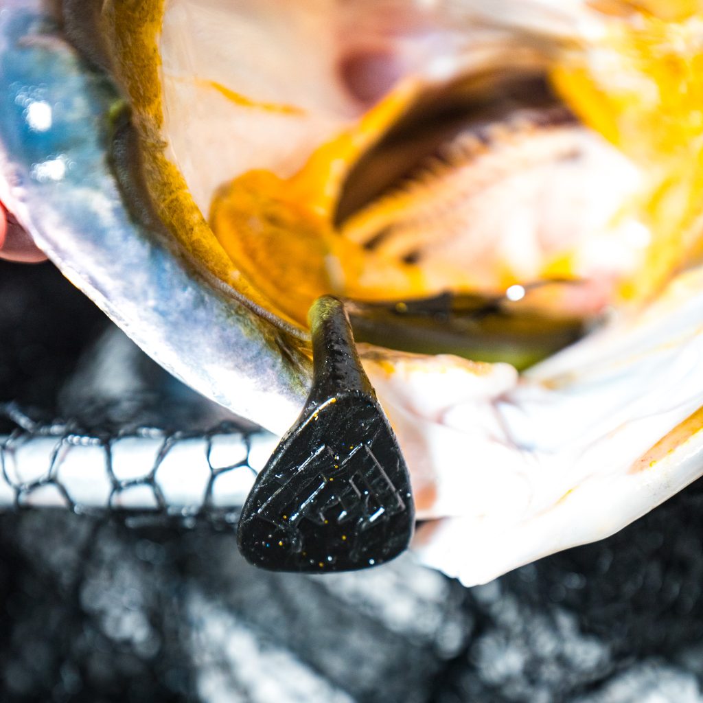 Mikado Jaws MPT Barramundi
