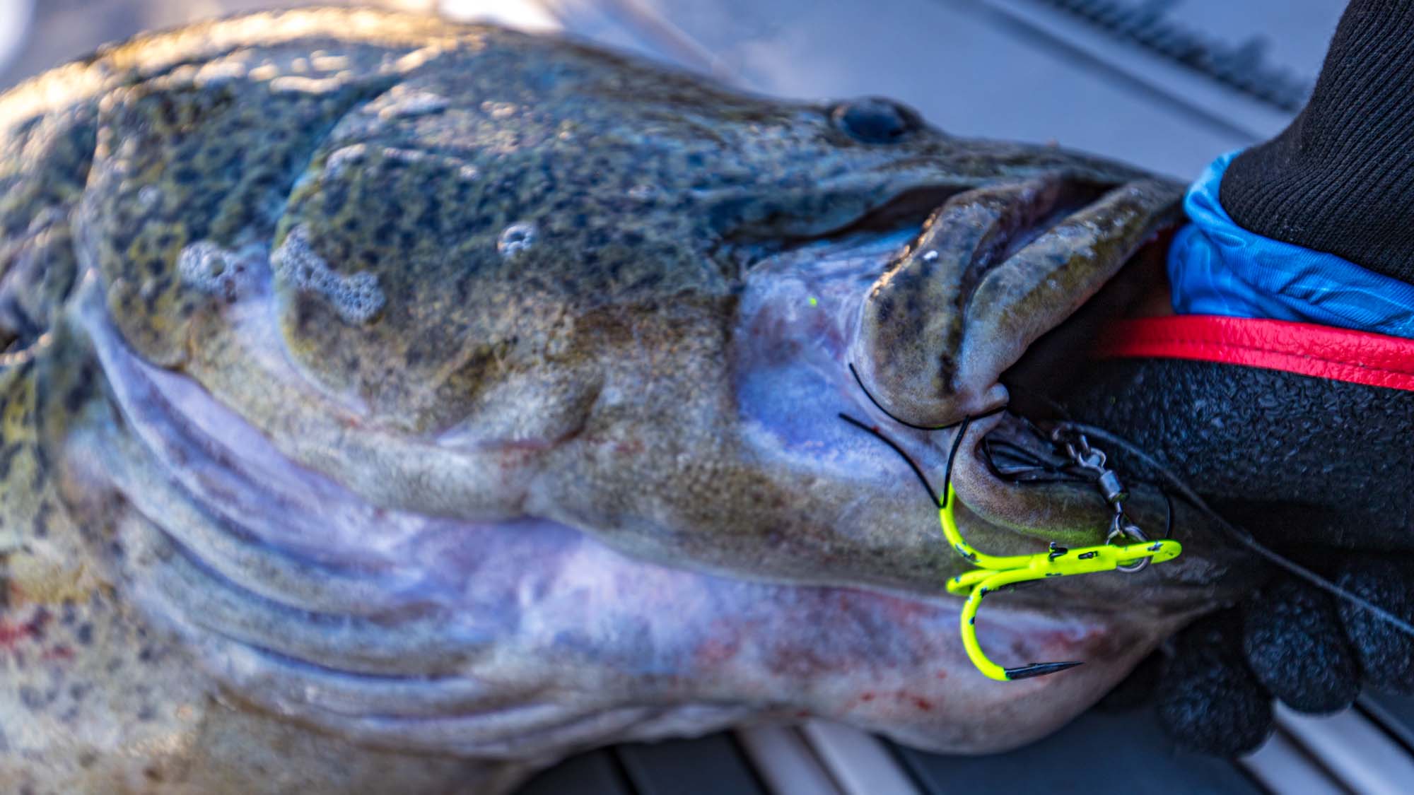 Mikado Vertical Treble hook and Murray Cod