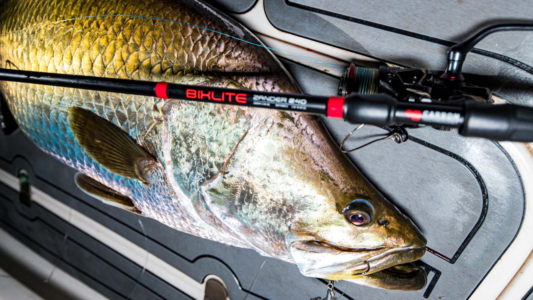 Mikado Bixlite Zander Spin 240